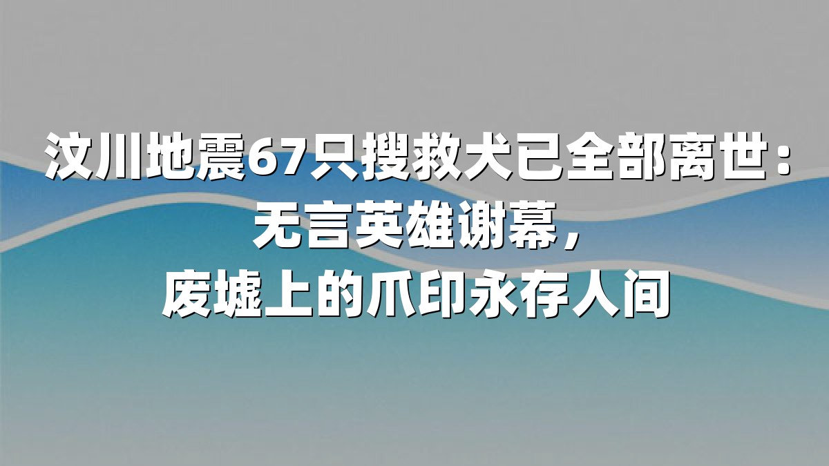 汶川地震67只搜救犬已全部离世：无言英雄谢幕，废墟上的爪印永存人间