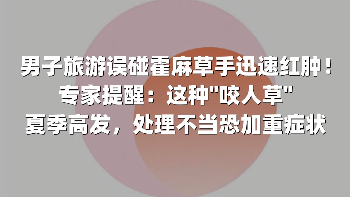 男子旅游误碰霍麻草手迅速红肿！专家提醒：这种"咬人草"夏季高发，处理不当恐加重症状