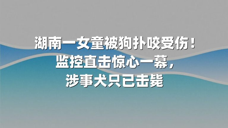 湖南一女童被狗扑咬受伤！监控直击惊心一幕，涉事犬只已击毙