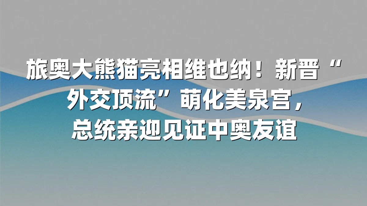 旅奥大熊猫亮相维也纳！新晋“外交顶流”萌化美泉宫，总统亲迎见证中奥友谊