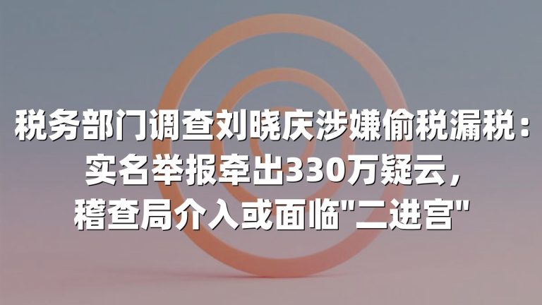 税务部门调查刘晓庆涉嫌偷税漏税：实名举报牵出330万疑云，稽查局介入或面临"二进宫"