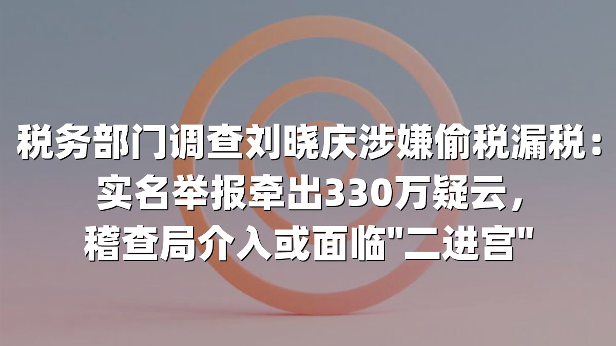税务部门调查刘晓庆涉嫌偷税漏税：实名举报牵出330万疑云，稽查局介入或面临"二进宫"