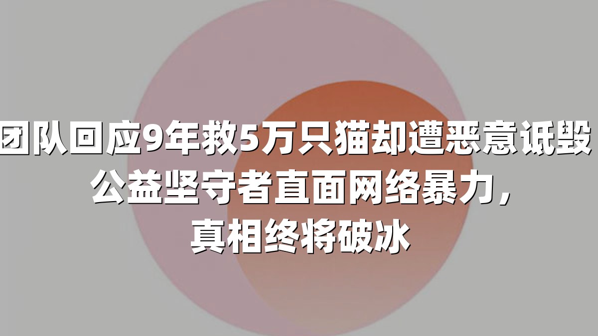 团队回应9年救5万只猫却遭恶意诋毁：公益坚守者直面网络暴力，真相终将破冰