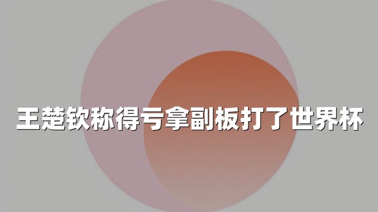 王楚钦称得亏拿副板打了世界杯