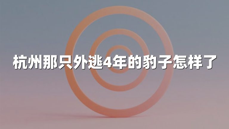 杭州那只外逃4年的豹子怎样了
