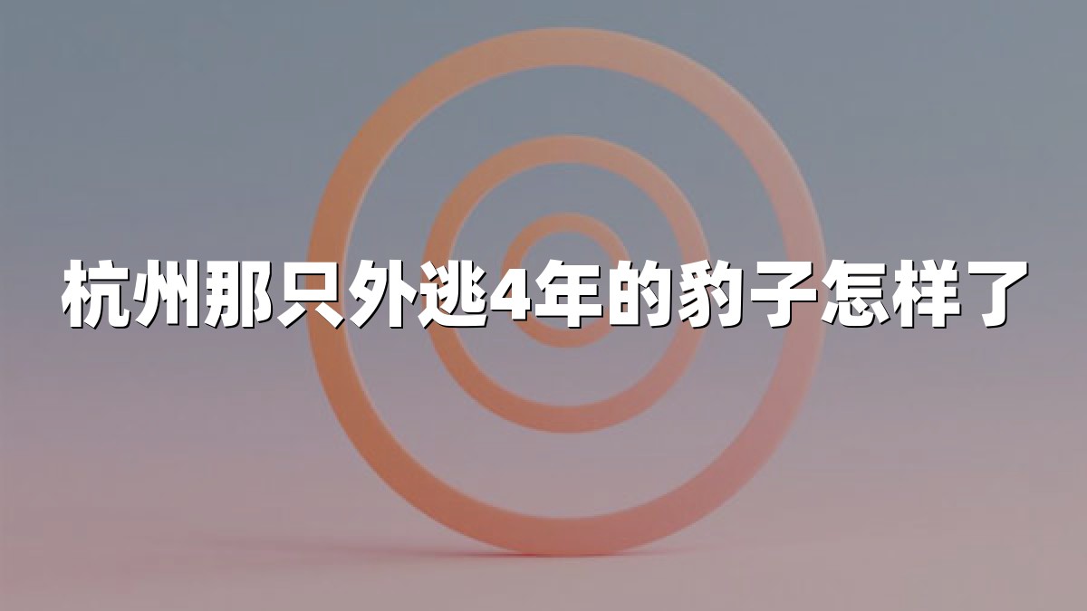 杭州那只外逃4年的豹子怎样了