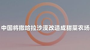 中国将撒哈拉沙漠改造成甜菜农场